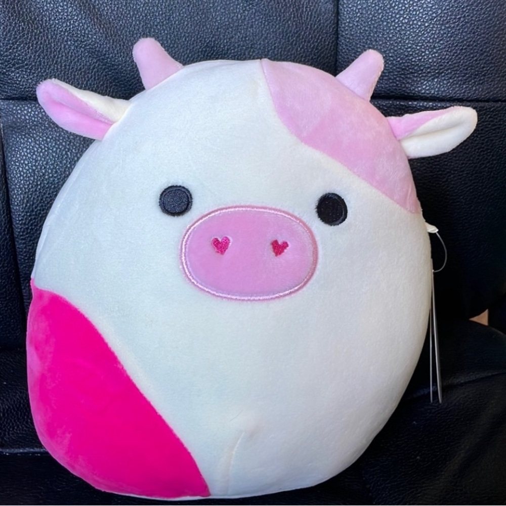 Caedyn Squishmallow